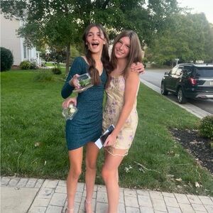 Windsor Teal Long Sleeve Dress